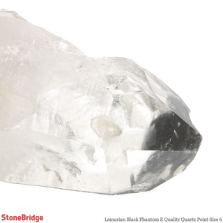 Lemurian Black Phantom Point #6    from Stonebridge Imports