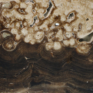 Calcite Chocolate Slice #2    from Stonebridge Imports