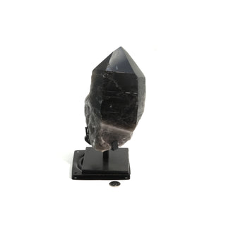 Smoky Quartz Cluster on Iron Stand U#38    from The Rock Space