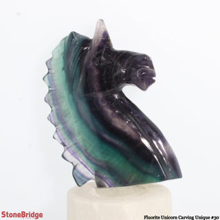 Fluorite Unicorn Carving U#30 - 5 1/4"    from The Rock Space