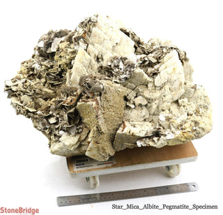 Albite Crystal Specimen U#5 - 20"    from Stonebridge Imports