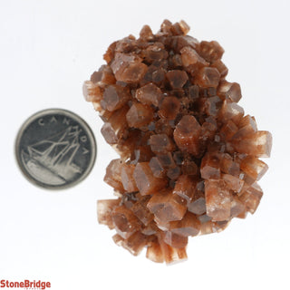 Aragonite Sputnik Cluster #3    from Stonebridge Imports