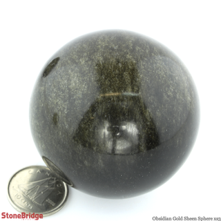 Obsidian Gold Sheen Sphere - Extra Small #3 - 2"    from The Rock Space