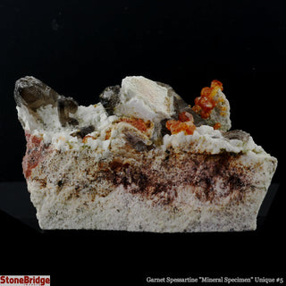 Garnet Spessartine on Smoky Quartz U#5    from The Rock Space