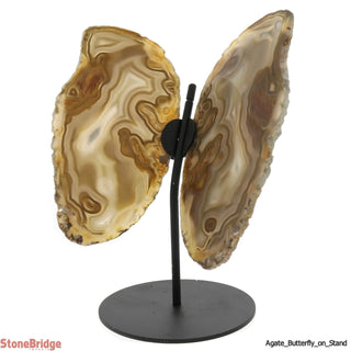 Agate Slice Butterfly With Stand - 8 3/4" x 6"    from The Rock Space