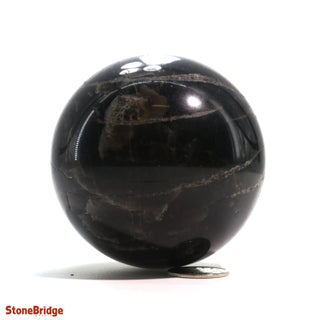 Smoky Quartz Dark Sphere - Small #3 - 2 1/4"    from The Rock Space