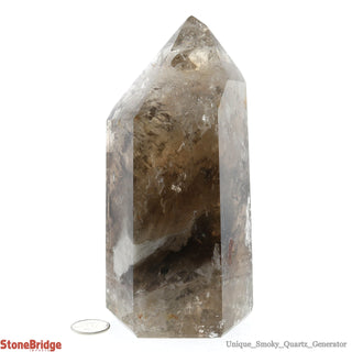 Smoky Quartz Generator U#3 - 5 1/2" from The Rock Space