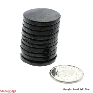 Shungite Cell Plate Round - 10 Pack from The Rock Space