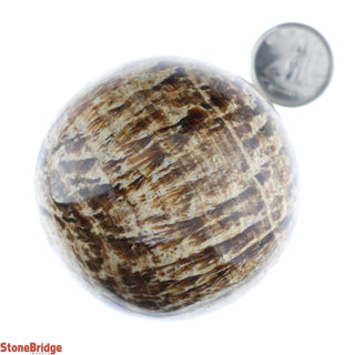 Aragonite Brown Sphere - Extra Small #4 - 2"    from The Rock Space