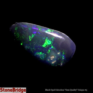 Black Opal Cabochon Gem Quality U#5 - 2ct    from The Rock Space