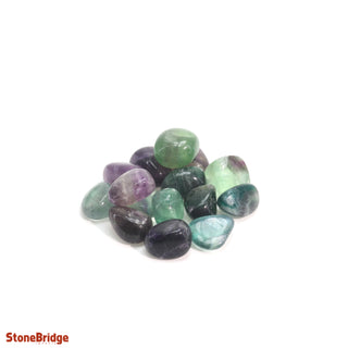 Fluorite Purple & Green Tumbled Stones Medium   from The Rock Space