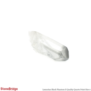 Lemurian Black Phantom Point #2    from Stonebridge Imports