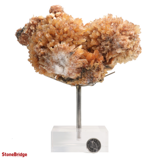 Creedite Specimen U#2 - 7" from The Rock Space
