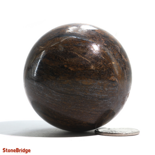 Bronzite Sphere - Extra Small #3 - 2"    from The Rock Space