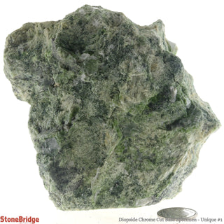 Diopside Chrome Cut Base Specimen U#1    from The Rock Space