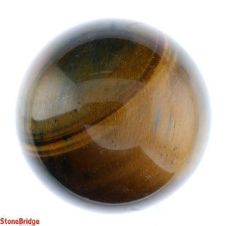 Tiger Eye Sphere from The Rock Space