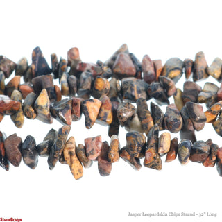 Leopardskin Jasper Bead Strand