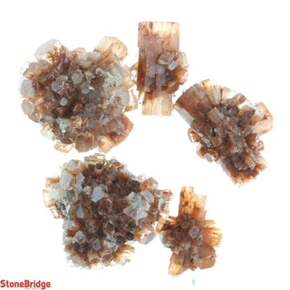 Aragonite Sputnik Cluster - 5 Pack    from The Rock Space