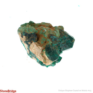 Dioptase Specimen on Matrix U#23 - 2"    from The Rock Space