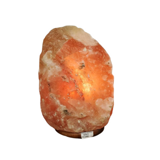 Himalayan Salt Boulder Lamp #3    from The Rock Space