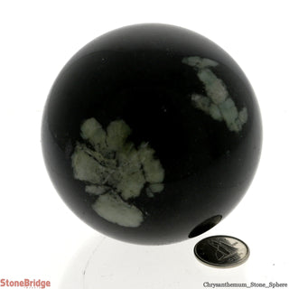 Chrysanthemum Stone Sphere - Medium #4 - 3"    from The Rock Space