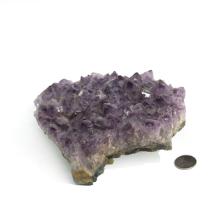 Amethyst Clusters #8 - 8" to 9"    from The Rock Space