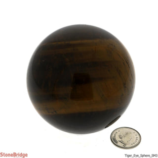 Tiger Eye Sphere - Small #3 - 2 1/4"    from The Rock Space