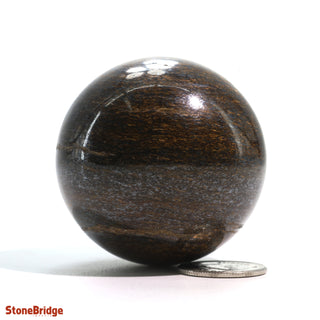 Bronzite Sphere - Extra Small #4 - 2"    from The Rock Space