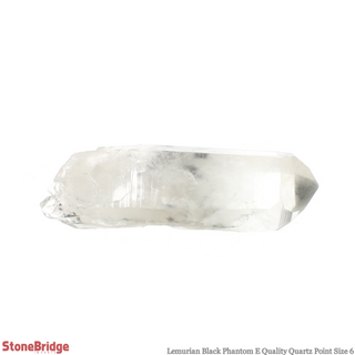 Lemurian Black Phantom Point #6    from Stonebridge Imports