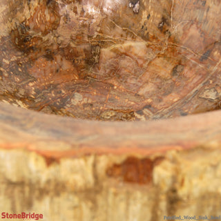 Petrified Wood Fossil - Sink Bowl    from The Rock Space