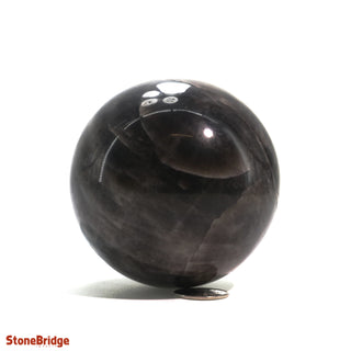 Smoky Quartz Dark Sphere - Medium #2 - 2 3/4"    from The Rock Space