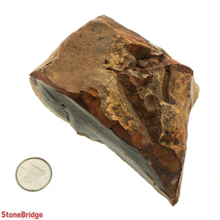 Polychrome Jasper Chunk #1    from The Rock Space