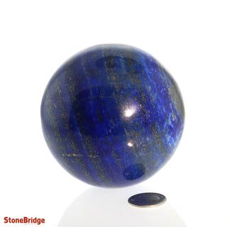 Lapis Lazuli A Sphere - Medium #3 - 2 3/4"    from The Rock Space