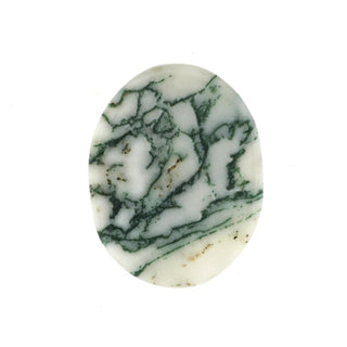 Green Tree Agate Worry Stone    from The Rock Space