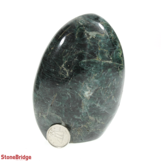 Green Apatite Standing Slice Cut Base "Full Polished" #0    from The Rock Space