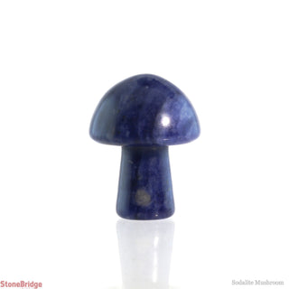 Sodalite Mushroom    from The Rock Space