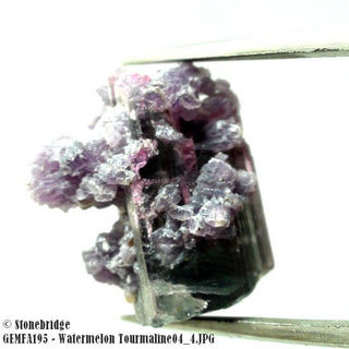 Watermelon Tourmaline Lot #4 - #2    from The Rock Space