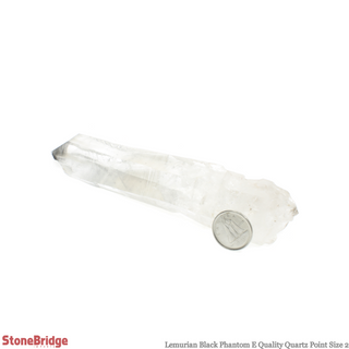 Lemurian Black Phantom Point #2    from Stonebridge Imports