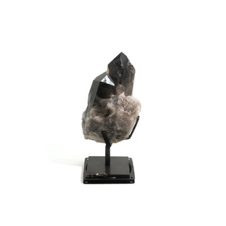 Smoky Quartz Cluster on Iron Stand U#31    from The Rock Space