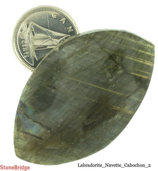 Labradorite Cabochon - Assorted #2 - 1 1/2" to 2"    from The Rock Space