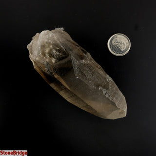 Smoky Lemurian Points #2 - 100g to 199g    from Stonebridge Imports
