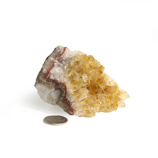 Citrine Cluster #1 - 1" to 2"    from The Rock Space