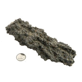 Fulgurite Petrified Lightning U#4 - 6"    from Stonebridge Imports