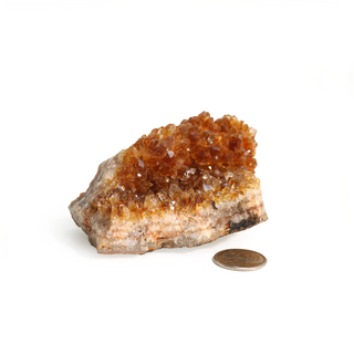 Citrine Cluster #1 - 1" to 2"    from The Rock Space