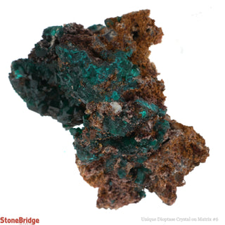 Dioptase Specimen on Matrix U#6 - 2"    from The Rock Space