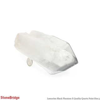Lemurian Black Phantom Point #5    from Stonebridge Imports