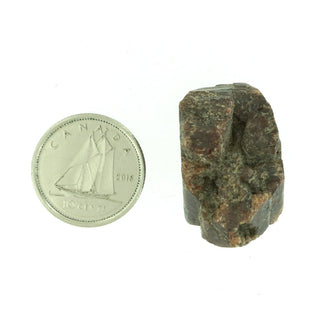 Zircon Rough Crystal #1 - 3/4" to 1"    from The Rock Space