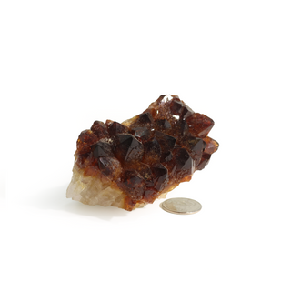 Citrine Cluster #1 - 1" to 2"    from The Rock Space