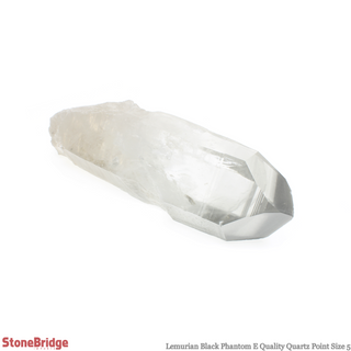 Lemurian Black Phantom Point #5    from Stonebridge Imports