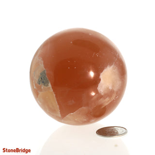 Calcite Honey Sphere - Small #2 - 2 1/4"    from The Rock Space